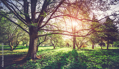 Wild ecology park landscape