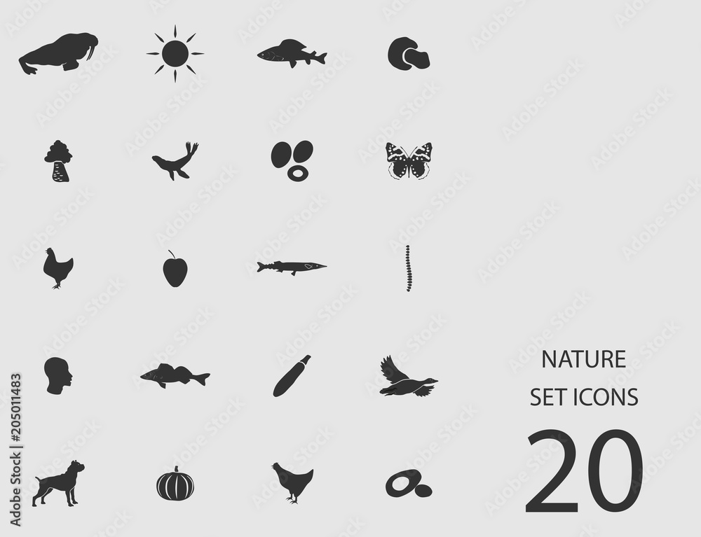 Nature set of flat icons. Vector illustration