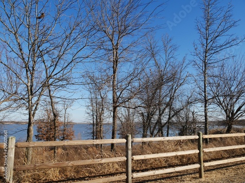 Tableau sur toile Trees without leaves and dried brown grass by the lakeside in winter, with a woo