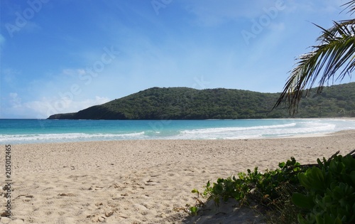 Fototapeta Naklejka Na Ścianę i Meble -  Beautiful white sand beach with clear blue waters in a tropical island in the caribbean