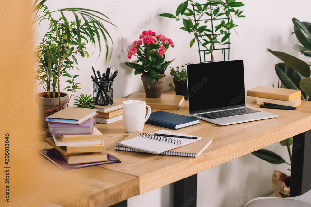 laptop on wooden table with potted plants in office laptop on wooden table with potted plants in office