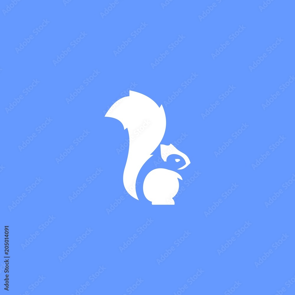 Obraz premium squirrel