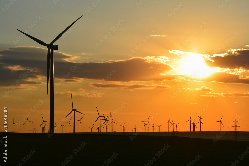Obraz premium Sunset with wind turbines in Dobrogea , Romania
