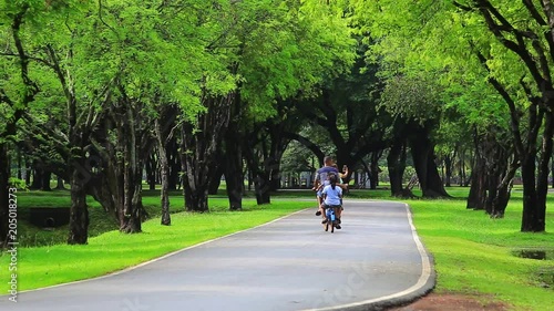 Wallpaper Mural park in Thailand Torontodigital.ca