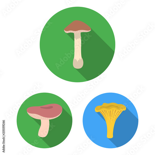 Poisonous and edible mushroom flat icons in set collection for design. Different types of mushrooms vector symbol stock web illustration.