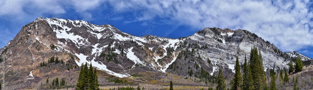 Panoramic Views of Wasatch Front Rocky Mountains from Little Cottonwood Canyon in early spring with melting snow, pine trees and budding Quaking Aspen in Utah.