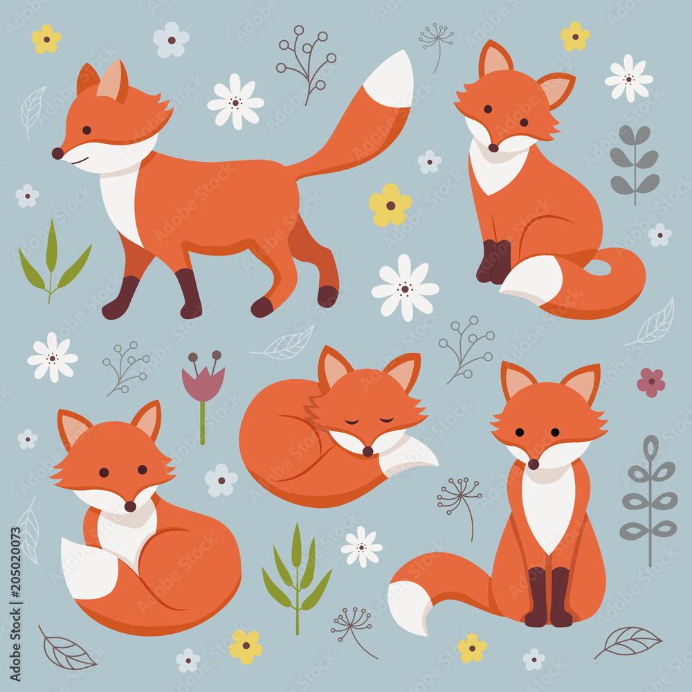 Set of cute foxes. Set of cute foxes.