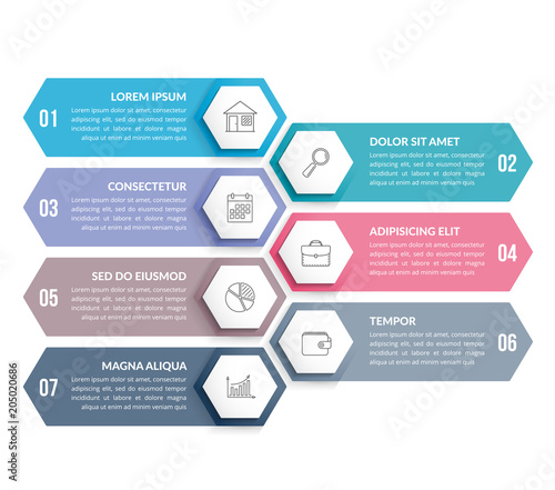 7 Steps Infographics