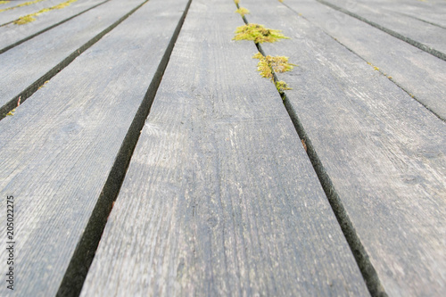 Old vintage planked wood