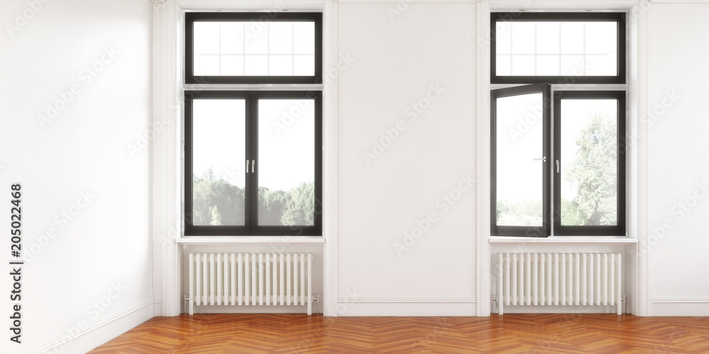 Fototapeta premium Altbau-Sanierung (panoramisch)