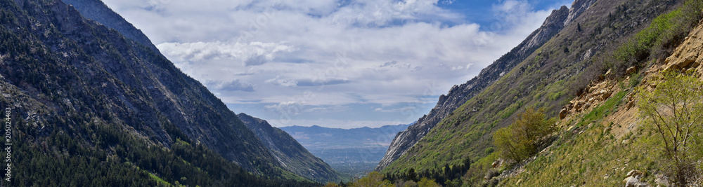 Panoramic Views of Wasatch Front Rocky Mountains from Little Cottonwood Canyon looking towards the Great Salt Lake Valley in early spring with melting snow, pine trees and budding Quaking Aspen in Uta