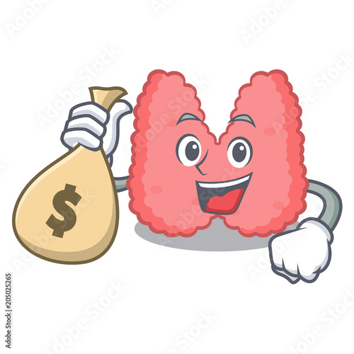 With money bag thyroid character cartoon style photo