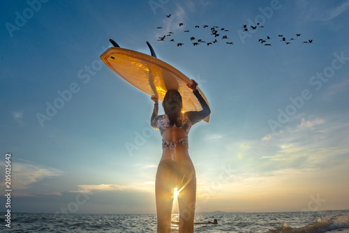 Photography view from bottom of woman turns on surfboard over head walking to the sea with w