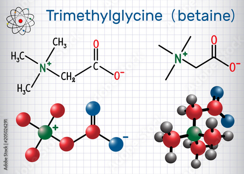 Trimethylglycine (TMG, betaine, glycine betaine), is found in sugar beets.  Structural chemical formula and molecule model. Sheet of paper in a cage