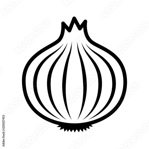 Leinwand Poster Bulb onion or common onion vegetable line art vector icon for food apps and webs