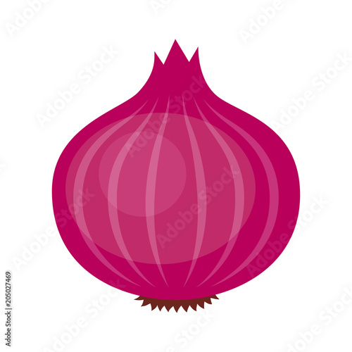 Red or purple bulb onion vegetable flat vector icon for food apps and websites