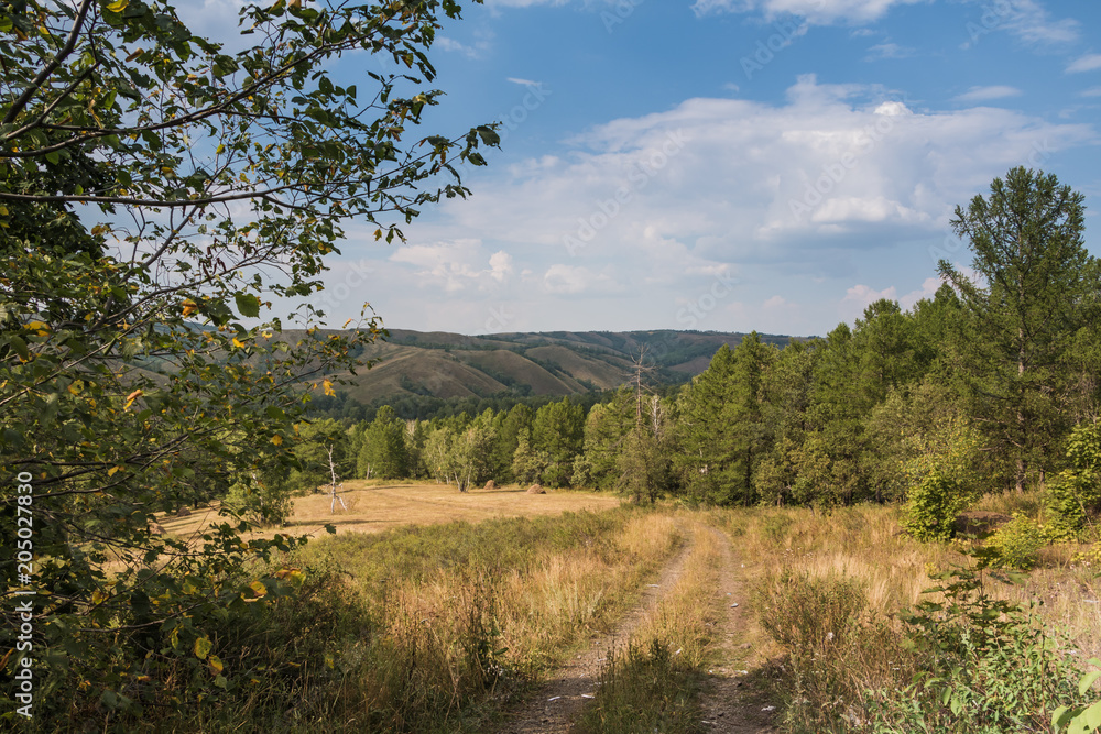 Obraz premium Beautiful panorama view on the green mountains who looks like hills, green trees in the foreground and yellow field between them