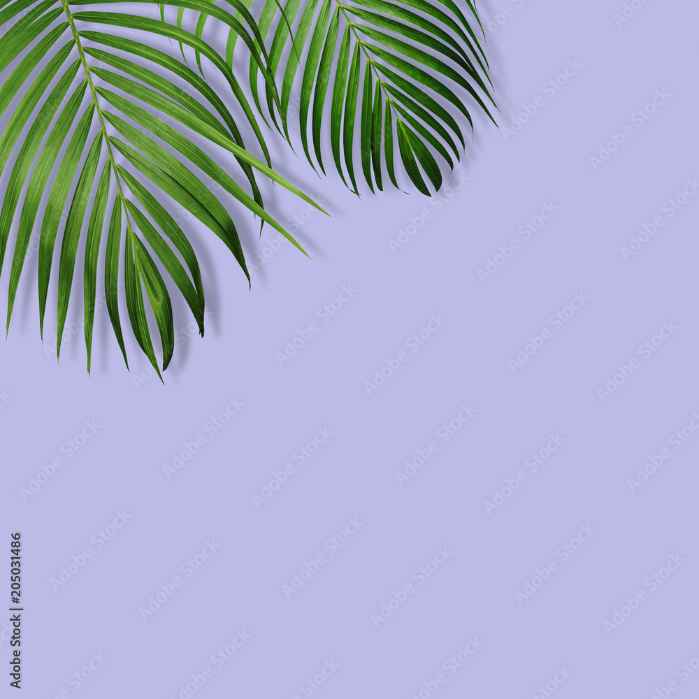 Fototapeta premium Green tropical leaves on violet background with copy space minimal design