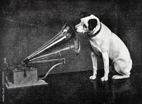 Hund lauscht in Grammophon Trichter photo