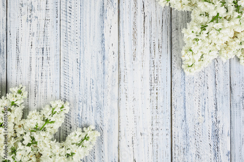 green on a wooden background