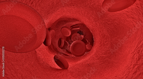 Blood and artery in microbi...