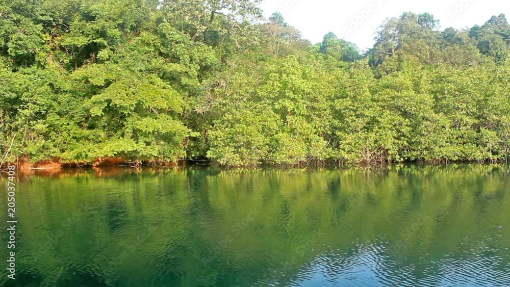river and reflection green forest in morning thailand river and reflection green forest in morning thailand
