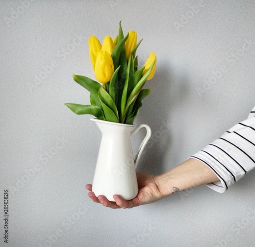 Tulip in the palm