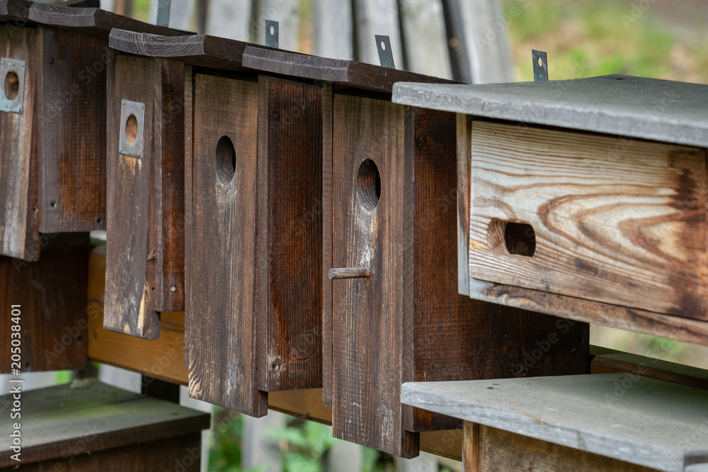Wooden bird houses in a row, bird boxes.