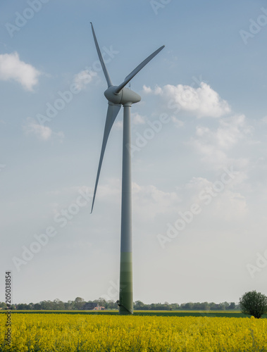 Rapsfeld und Windkraftanlagen 