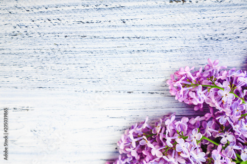 green on a wooden background