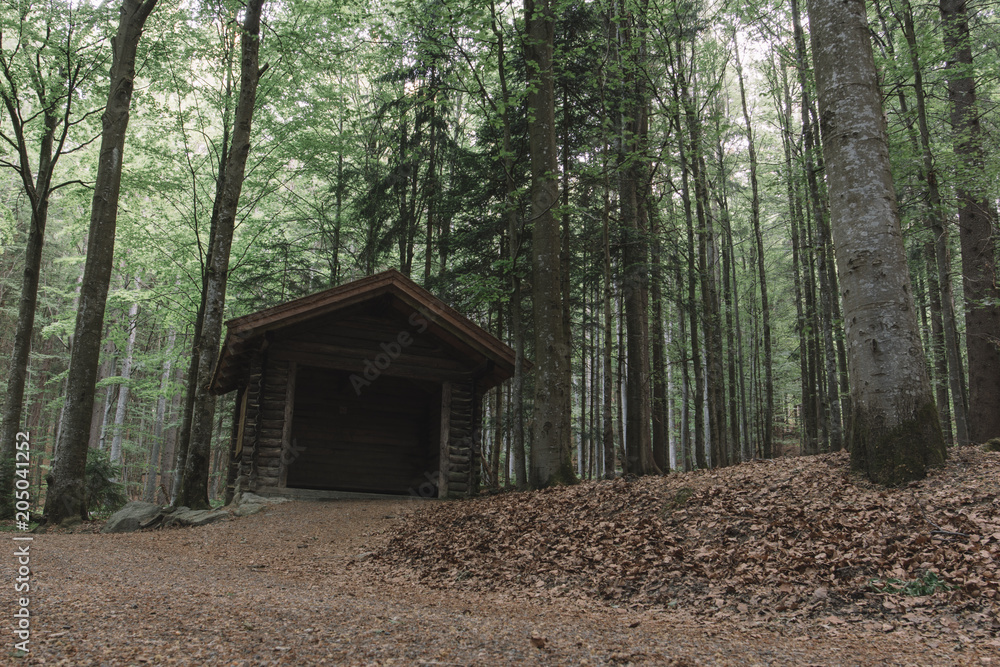 Wooden house in forest. Cabin in the woods. Wooden house in forest. Cabin in the woods.