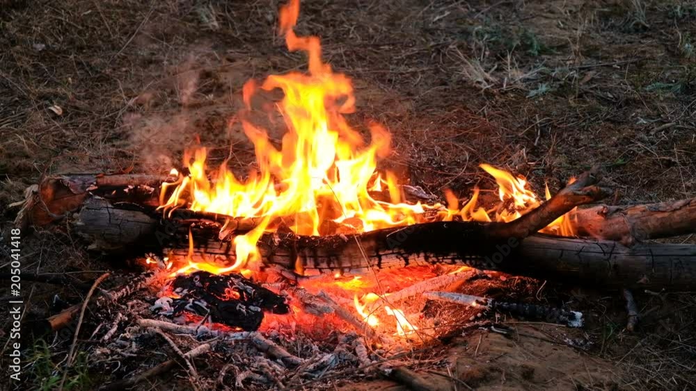 Burning bonfire, close-up view. Flickering Flames Wood Fire, 4K. Burning bonfire, close-up view. Flickering Flames Wood Fire, 4K.