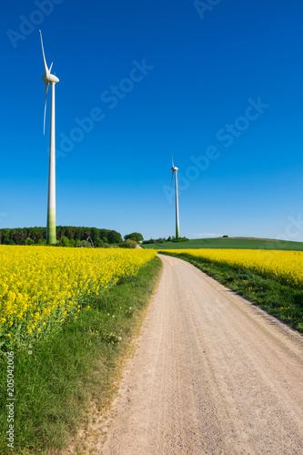 Taunuslandschaft im Frühsommer