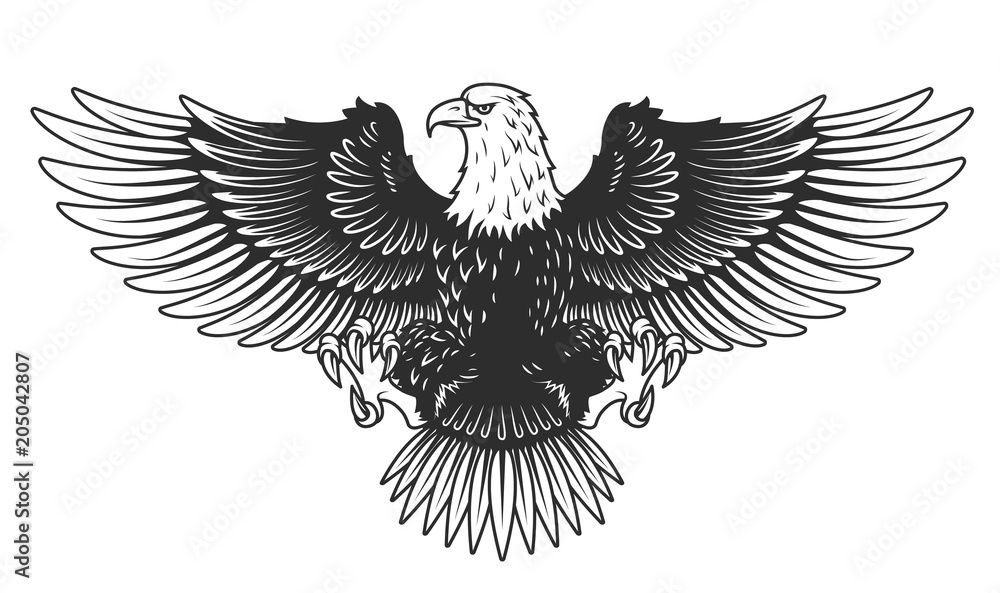 Obraz premium Eagle isolated on white vector illustration.