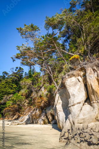 Creek in Abel Tasman National Park, New Zealand