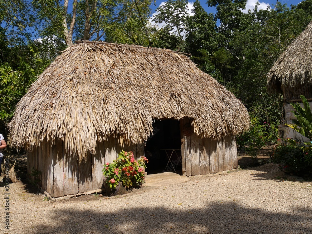 Thatched-roofed hut in a village in Costa Maya, Mexico 