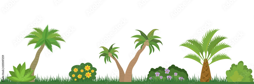 Obraz premium Tropical Nature landscape- Palm Trees and bushes,