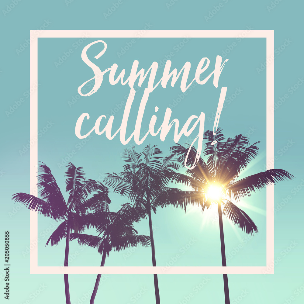 Naklejka premium Summer message tropical palm tree silhouette against bright sunlight with white frame border.