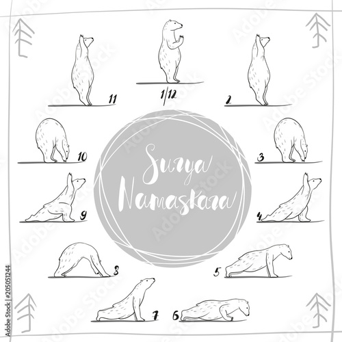 funny yoga with polar bear, fitness white bears, yoga poses, Surya Namaskara meditation. Ashtanga vinyasa yoga poses