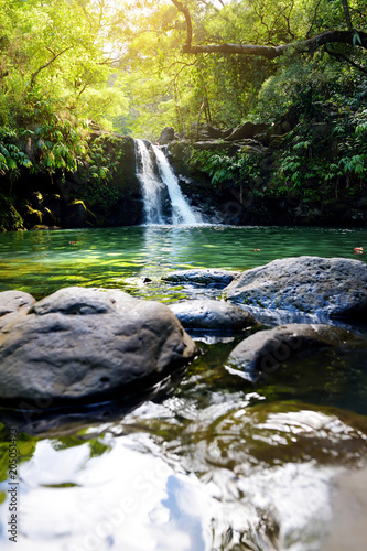 Tropical waterfall Lower Waikamoi Falls and a small crystal clear pond  inside of a dense tropical rainforest  off the Road to Hana Highway  Maui  Hawaii