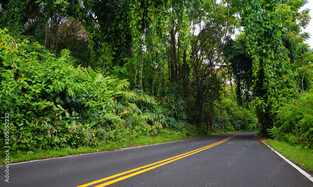 Famous Road to Hana fraught with narrow one-lane bridges, hairpin turns and incredible island views, curvy coastal road with views of cliffs, waterfalls, and miles of rainforest. Maui, Hawaii