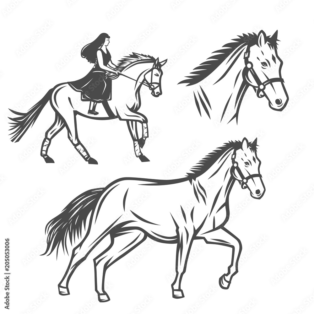 Horse. Black and white vector objects. Horse. Black and white vector objects.