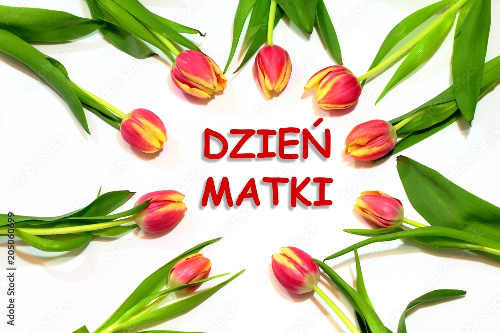 Dzień matki kartka z polskim tekstem DZIEŃ MATKI, Czerwone tulipany ułożone w koło na białym tle - obrazy, fototapety, plakaty 