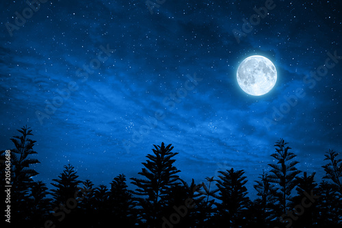 Fototapeta forest in silhouette with starry sky , Elements of this image are furnished by n