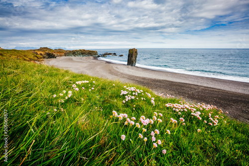 Great views of the Starmyri basalt Dalkur. Location place Park at Oceanside, coast of Iceland, Europe. photo