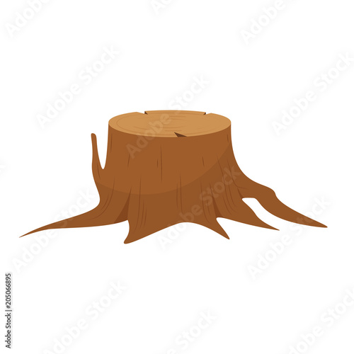 Tree stump roots