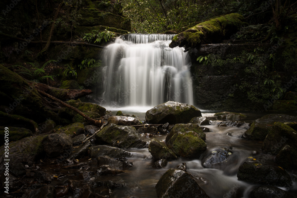 Fototapeta premium Strickland Avenue Falls, Hobart, Australia