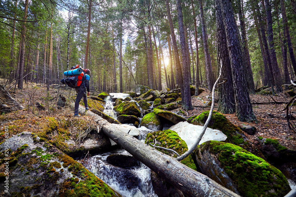 Tourist with backpack in the forest Tourist with backpack in the forest
