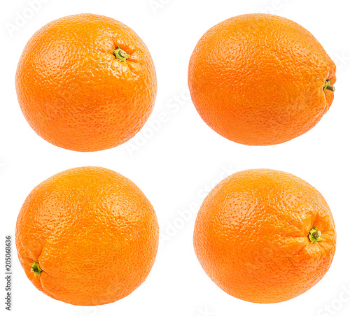 Juicy oranges isolated on white background with clipping path