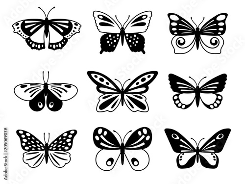 Black and white butterflies © ssstocker